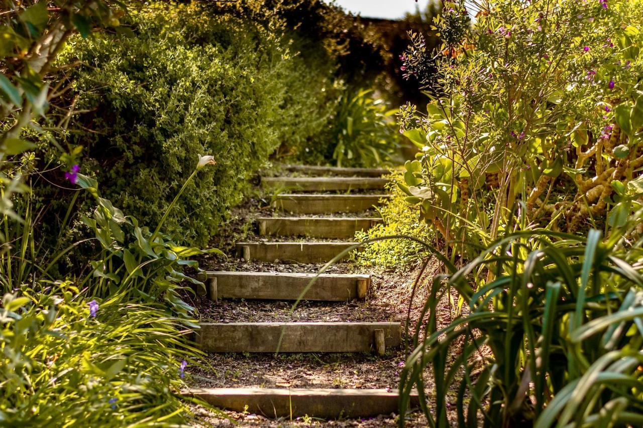 The Dongola Guesthouse Le Cap Extérieur photo